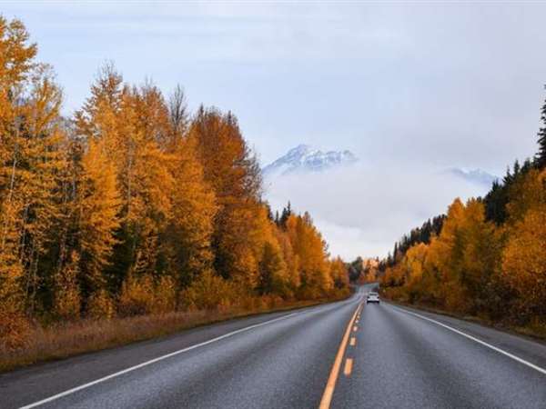 Bagdogra Airport Taxi Fare