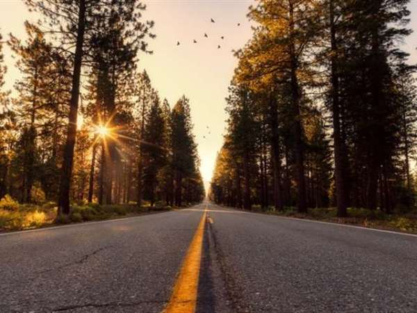 Bangalore to Mussoorie Taxi Fare