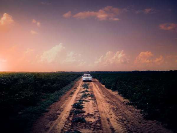 Coimbatore to Tirupati Taxi Fare