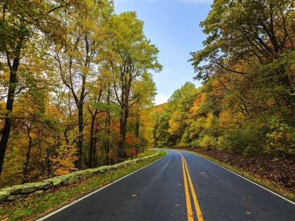 Delhi to Jim Corbett Taxi Fare