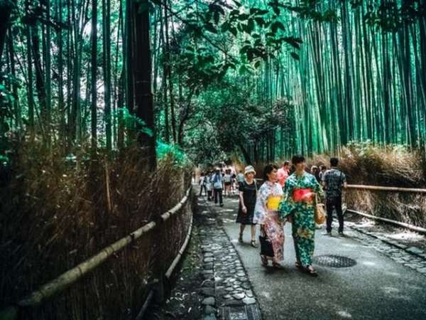 Jaipur to Darjeeling Taxi Fare