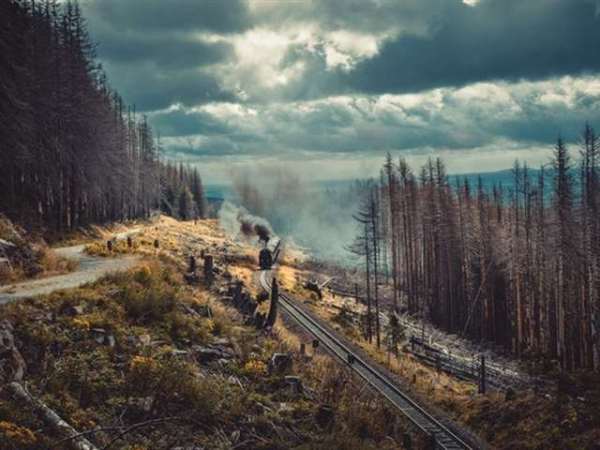 Kolkata to Manali Taxi Fare