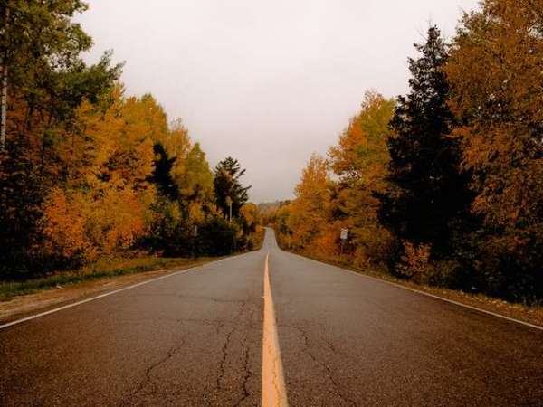 Meerut to Shirdi Taxi Fare