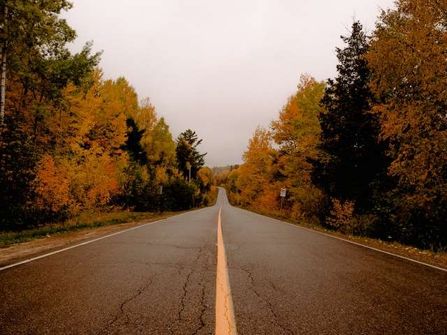 Meerut to Shirdi Taxi Fare