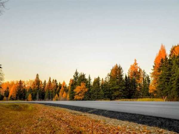 Surat to Manali Taxi Fare