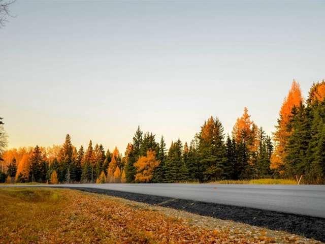 Surat to Manali Taxi Fare